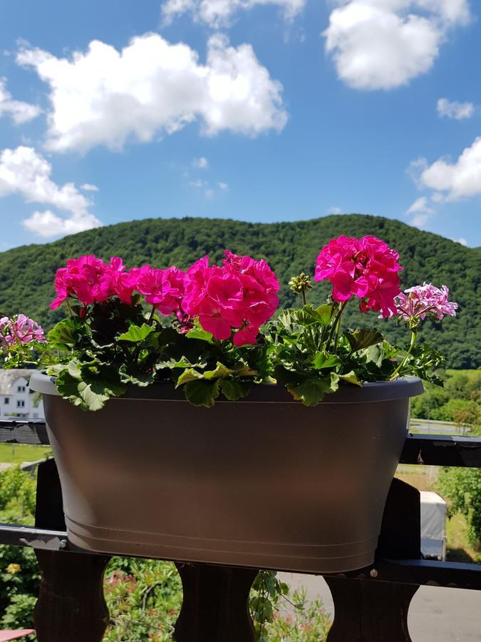 Weingut Erich Serwazi Mesenich Extérieur photo